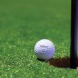 golf ball, golf ball on the green, golf green, golf courses in Gloucestershire